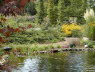 Gartenteich 1